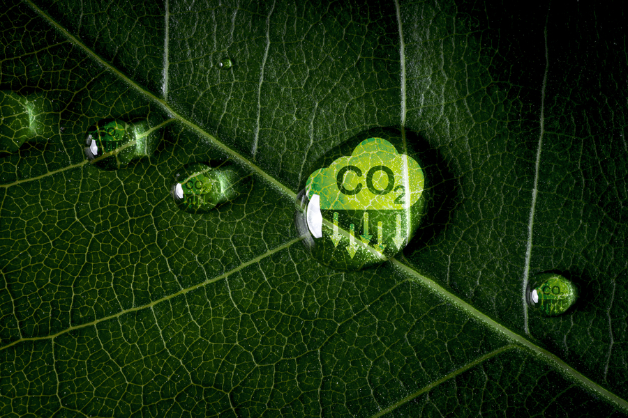imagem I-REC e Créditos de Carbono: Ferramentas Essenciais para a Transição Energética
