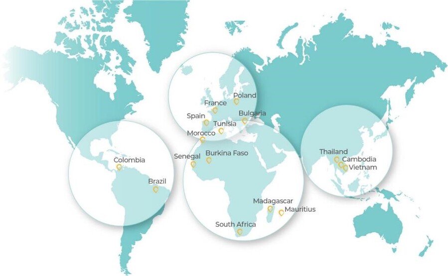 imagem Impulsionando a Transição Energética Global: A GreenYellow Brasil e no mundo